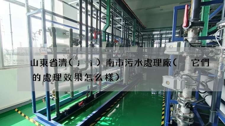 山東省濟(jì)南市污水處理廠( 它們的處理效果怎么樣)